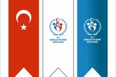 Kirlangic-Bayrak-osmaniye-4