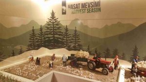 Köklü Reklam Tabela yaratıcı marka tanıtım çalışmaları