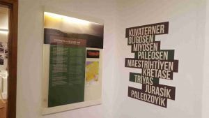 Köklü Reklam Tabela yaratıcı marka tanıtım çalışmaları